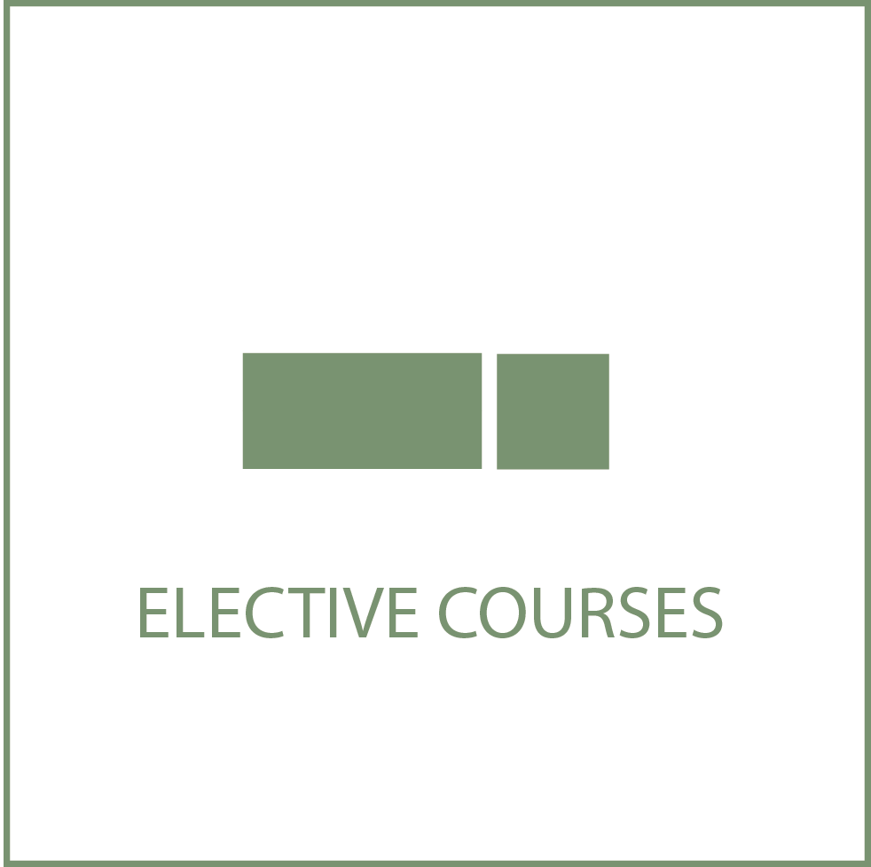 tasto icona elective courses