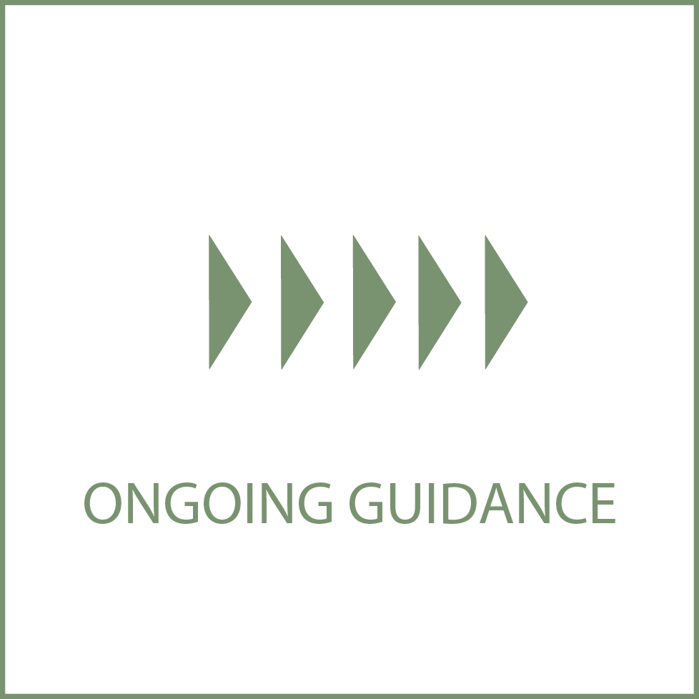 tasto icona ongoing guidance
