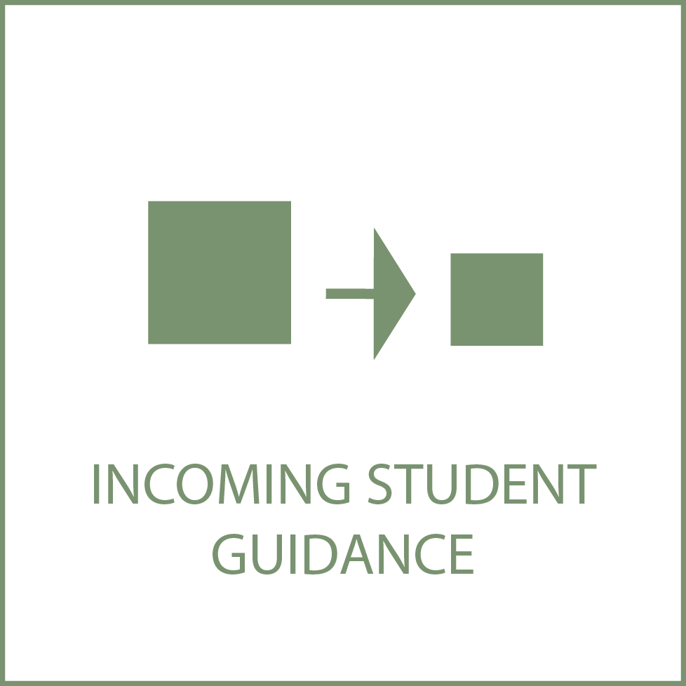 tasto icona incoming guidance