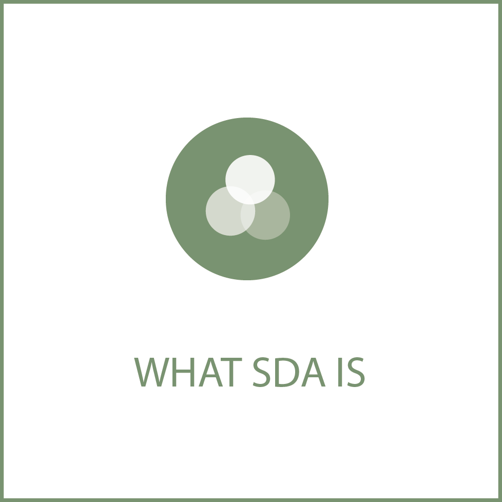 icona tasto what sda is