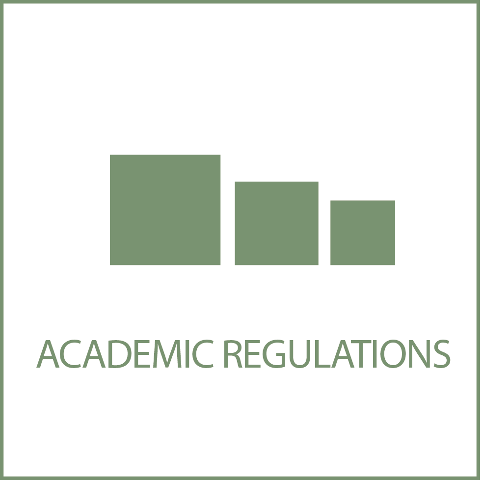 tasto icona academic regulations