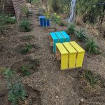 il ventre della balena location