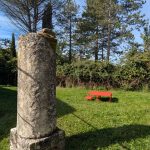 Tirocinio scatti ottobre